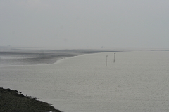 Wattenmeer Sandwatt Schlickwatt Nordsee
